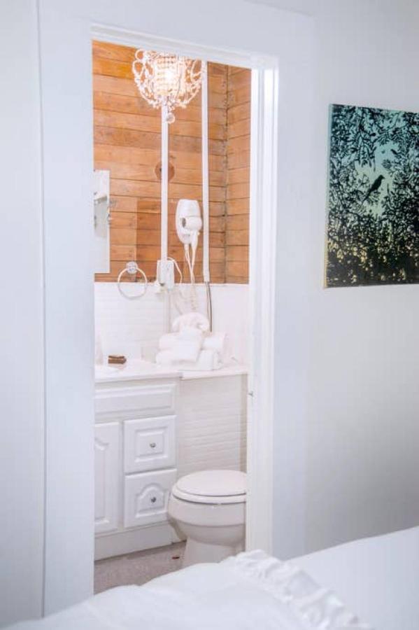 Dragonfly Cottage 1 Of 5 Listings Downtown 阿尔派恩 外观 照片